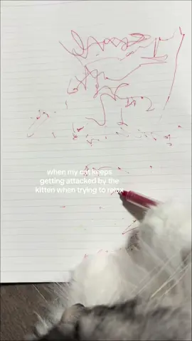 he just wants some peace and quiet #catsoftiktok #cats 