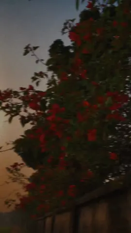 - This Song !!😌🖤 #fcypシ  #fvyツ❤️  #fvypシviral  #tiktok_tamim_7x  #tamim_7x  #bd_tiktok_team  #bd_tiktok  #fcypシ  #bd_tiktok_official_bangladesh🇧  #bd_tiktok_official_bangladesh🇧🇩 