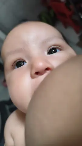 🤣🥹jaja Te Amo!!!❤️ #jalajalaquebuenaesta😂😂 #babylove #lme #lactancia #tiktok 