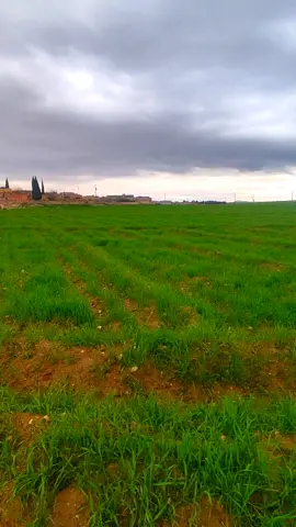 #ابو_سمره_الجبوري صفيت حال الهبيل. عل لالو ربع لالو احد 