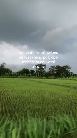 Saestuu #jowostory #hoohtenan #fypシ 