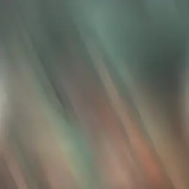 #playboyy #playboyytheseries  #fyp #foryou #blseries 