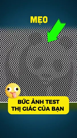 #mẹovặt 319 | Đây là bức ảnh kỳ lạ: Nhìn XA thì RÕ nhìn GẦN thi MỜ | Hypnotic photo - Visual game #tips #DIY #lifehacks #meovat #meohay #meovatcuocsong #huongdan #cachlam #kienthuc #meo 