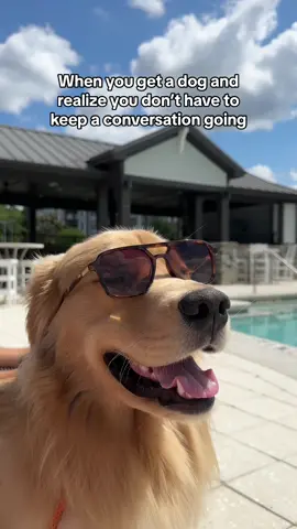 Less talk the better 🤭 #goldenretriever #PetsOfTikTok #bestfriend #promoted 
