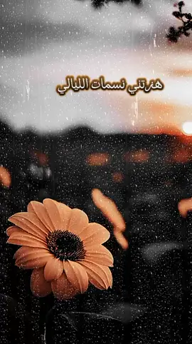 هزتني نسمات الليالي كاملة #اناشيد_بدون_موسيقى #اناشيد_متنوعة #اناشيد_كاملة 