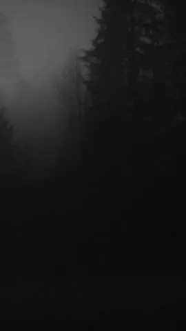 yamaç sana 🌚💔#ahmatkayamkalbimizdesin #ahmatkayamkalbimizdesin 