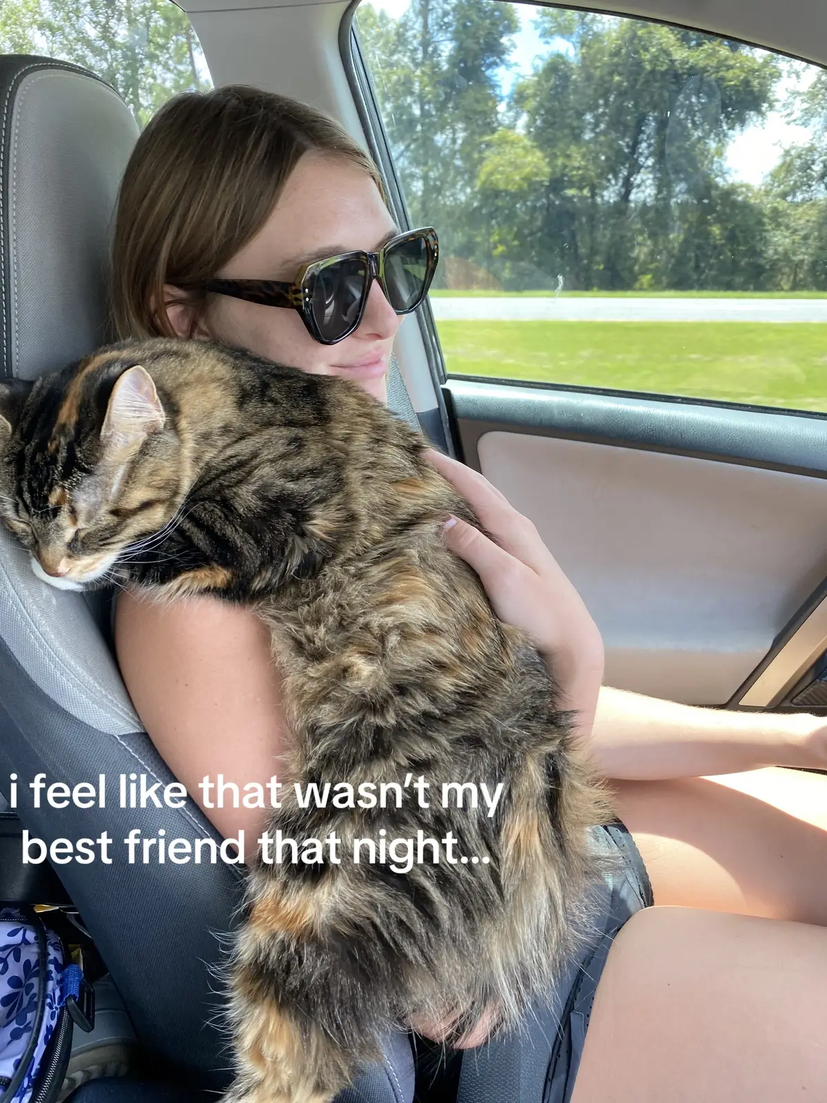 Baby no like vet #catsoftiktok 