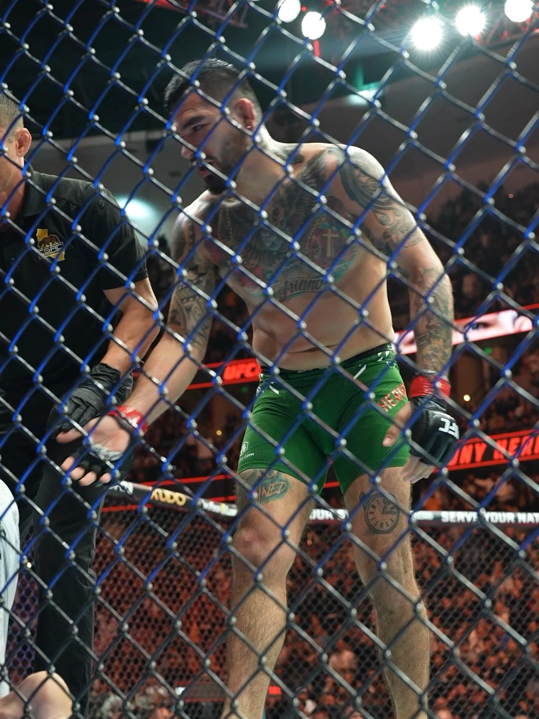 MAKE THAT FIVE IN A ROW 😮‍💨 #anthonyhernandez #UFC #mma