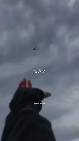 Tere arzoo na mita sakey😩🖤🥀 #ayeshaaesticx #foryou #foryoupage #fyp #lyrics #song #teriarzoonamitasake😔🖤 