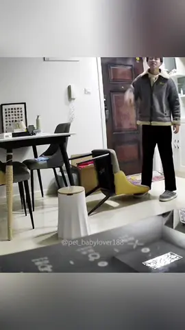 I’m a little worried about his feet.🤣😼 #cat #cats #cutecat #catlover #catsoftiktok #fyp #foryou #foryoupage #funny #fypシ #funnycat #funnyvideos #funnytiktok #funnyanimals #kitty 