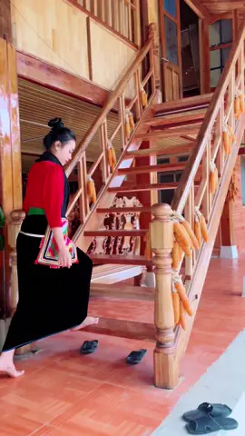 😹Theo em về yên bái múa điệu xoè hoa 