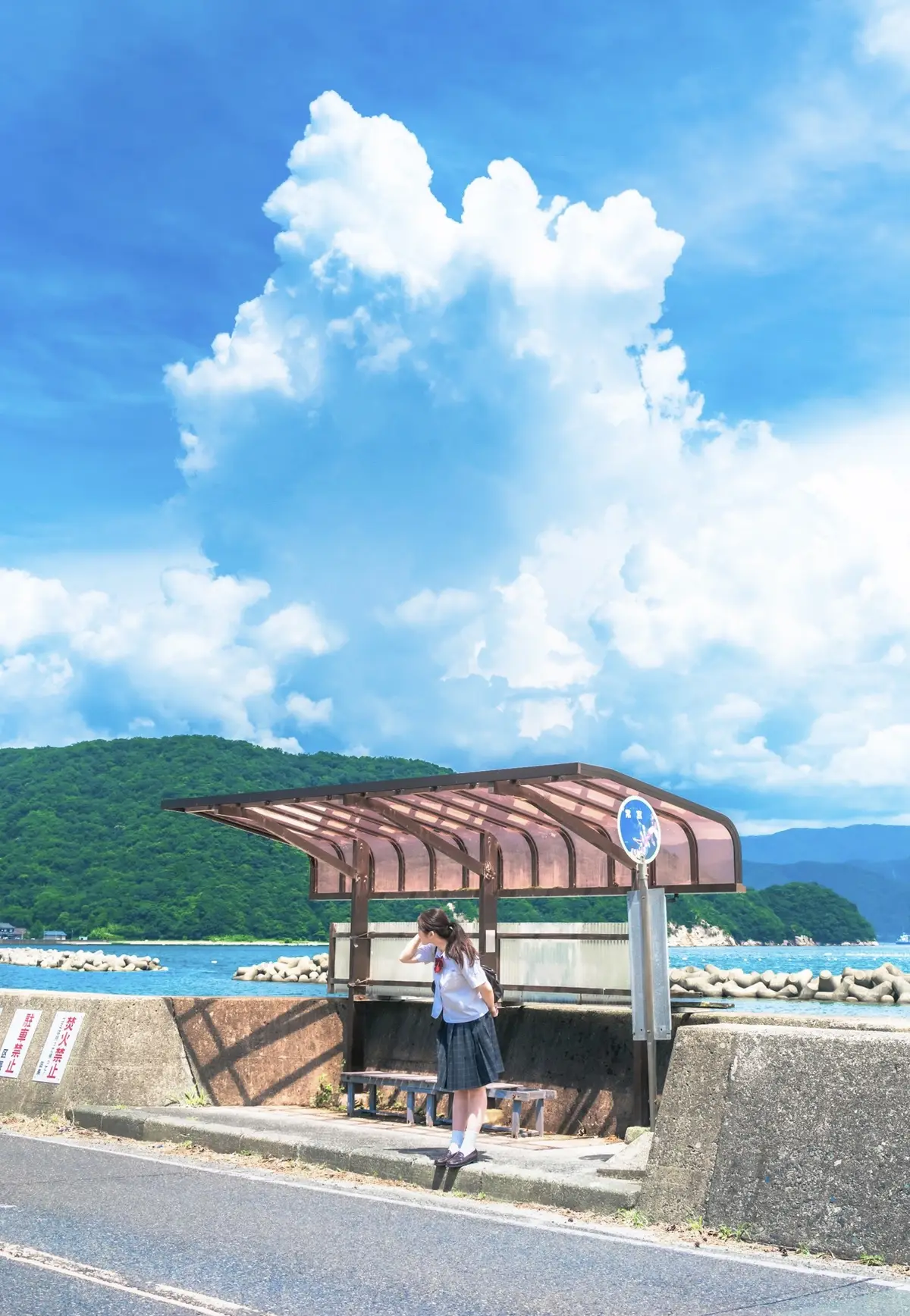夏に撮った写真たち。 素敵な夏の思い出を教えてください。