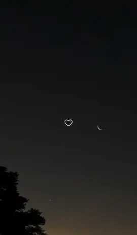 هو حبيبي اللي اتمنيته يكون ليااااا ♥️♥️♥️#fypシ #fypシ #viral 
