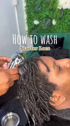 Wash your starter locs at least every 2-3 weeks guys. Get that shampoo in there until it foams up well.  Not a fan of the stock cap method, i dont think your scalp really gets clean. If you’re scared to wash it, just book me and i’ll do it for you ☺️ Clean scalp = healthy locs 🤌🏾  #starterlocs #washingstarterlocs #combcoils #locs #locjourney 