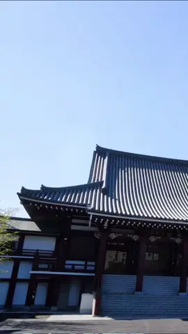 #各路神仙拜一遍 #新年快乐2024年❤️  #龙年大吉🧧🏮  #lagumandarin #mandarinsong