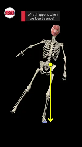 Understanding Balance: Center of Gravity vs. Base of Support 🌟 Ever lost your balance and wondered why? Let's dive into the fascinating world of our body's balance mechanism!  It's all about our center of gravity and base of support! 🤔 https://mmstrength.page.link/Center-Gravity-and-Base-of-Support 🌟 Want to learn more? Check out our new theory videos in the Strength Training app!  Dive deeper into balance mechanics and enhance your training with expert insights. 📲💪 #BalanceBasics #CenterOfGravity  #StayUpright #StrengthTrainingApp #muscleandmotion