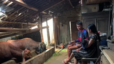 Arep mburu opo nek ora mburu ayem🫠😄