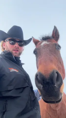 Banjo and the $10 dollar boys! #fyp #montanaboyz 