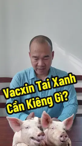 Dùng vacxin tai xanh cho heo cần kiêng điều gì? #xuhuong #heo #sieubacsi #phamxuantrinh #ThanhThoiLuotTet #xuhuongtiktok #ga 
