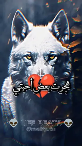 هجرت بعض احبتي طوعاً لأني رأيت قلوبهم تهوى فراقي. . . . . . . . . . . . . . #اكسبلور #خواطر_ملهمة #عبارات #خواطر #mohamed_daghar #كلمات #للعقول_الراقيه_فقط_ #اقتباسات #حكمة_اليوم 
