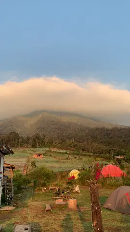 Menyambut pagi yang cerah🌼 #beranda #thepapsdibuai #trending 