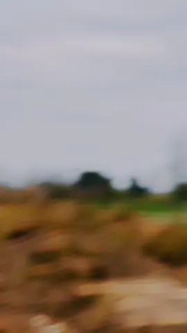 #Ahmad Raza#CapCut #four.