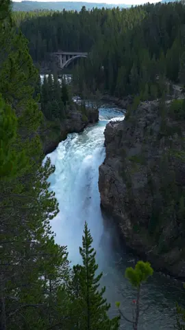 shady waterfall forest #naturecore #fypシ 