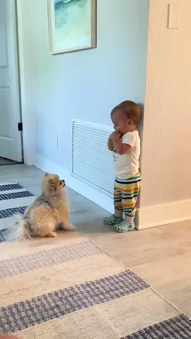 Baby and dog grow up happily together❤️❤️❤️ #foryou #fyp #babyanddog #dogandbaby #babiesoftiktok #baby #babyboy #babylove #babytiktok #cutebaby #cutedog #dogsoftiktok #doglover #puppylove #Love #loveyou #lovestory #sweet #bestfriend #pets #petlover 