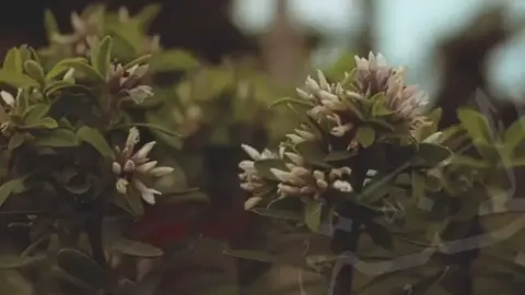 #اللهم #اجمعنا_في_الجنة_بمن_نحب_ياالله #اناشيد_بدون_موسيقى # 