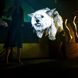 @andré  PROJECT X 2 IS COMING!! (it’ll be called project xx aparently) #projectx #party #edit #aftereffects #projectxedit 