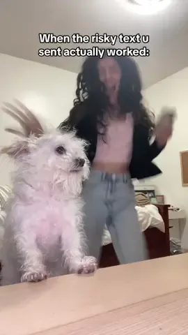 Coco took it like a champ 🤭 #whitechihuahua #whitedog #funnydogvideos #relatable #relatable #dogsoftiktok #tiktokdog #fyp #foryoupage 