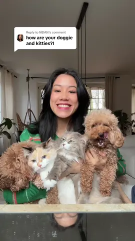 Replying to @NEIAN the fifth one didnt fit on my lap in the beginning