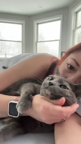 Waking up with Hazel.. #catsoftiktok #fyp #foryoupage #cats 