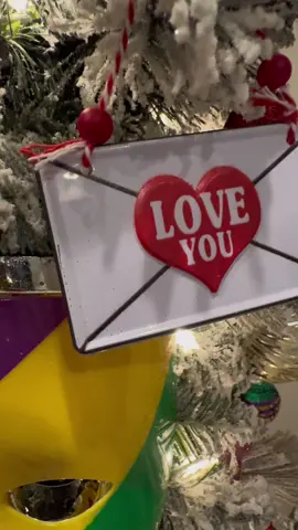 Mardi Gras 2024 Season went a little like this...#houma #mardigras #parades #louisiana 