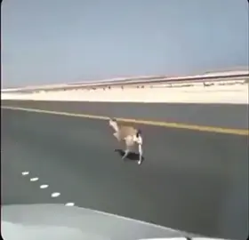 #الريم 