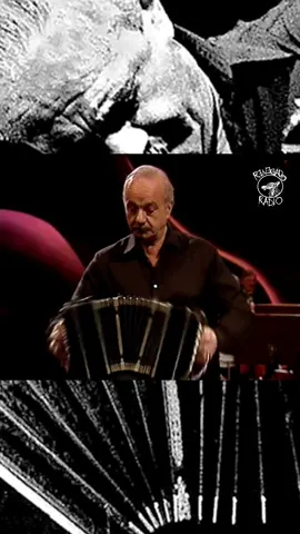 «Adiós Nonino» é uma peça musical de tango, composta pelo músico e compositor argentino Astor Piazzolla em 1959, em homenagem ao seu pai, Vicente Piazzolla. Nesse ano, Astor se encontrava realizando uma turnê pela América Central junto aos dançarinos Juan Carlos Copes e María Nieves, quando, durante uma apresentação em Porto Rico, recebeu a notícia da morte de seu pai, Vicente, apelidado de Nonino, devido a um acidente de bicicleta em sua cidade natal, Mar del Plata. Esta notícia, somada ao fracasso da turnê, aos problemas econômicos e à nostalgia que lhe causava estar longe de seu país, levou Piazzolla à depressão. Em outubro desse ano, ao retornar à cidade de Nova York, lugar onde residia temporariamente com sua família, Piazzolla compôs esta obra, baseando-se em outro de seus tangos intitulado «Nonino», escrito cinco anos antes em Paris, também em homenagem a seu pai. Papai nos pediu para deixá-lo sozinho por algumas horas. Entramos na cozinha. Primeiro houve um silêncio absoluto. Pouco depois, ouvimos que tocava bandônio. Era uma melodia muito triste, terrivelmente triste. Estava compondo «Adeus Nonino». Daniel Piazzolla, filho de Ástor. 