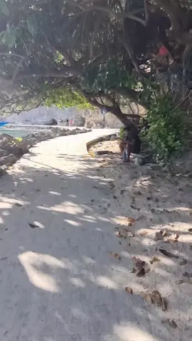 My 2024 Boracay Trip #boracayisland #boracay #follower #viralvideo #trendingvideo #trendingvideo #viral #highlights #tiktoktravel #trending #trendingtiktok #everyone #trip #travelvlog #viraltiktok 