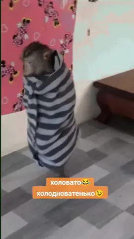 #доброеутро 😊#юморок😆 #длянастроения 😉#приколы😉 