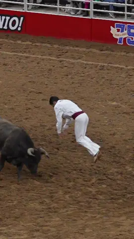 Wow 😳 Manu Lataste 🐂 The Bull Jumper! #bulljumping #bullfighting #frontflip #rodeoreels #rodeotok #rodeoreels #westerntok #sanantoniorodeo2024 #extremesports 