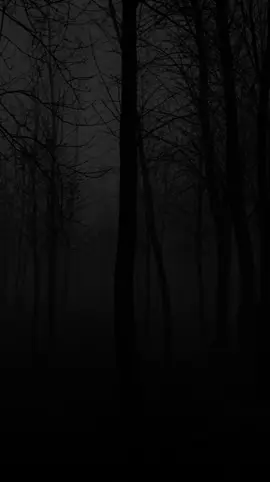 Thozhiyaa ❔ kaadhaliyaa ❔ #thozhiya_yen_kadhaliya #vijayantony #tamil #tamilsong #whatsapp #whatsapp_status #fy #fypシ゚viral #like #tqsomuch #💕 