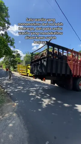 🙌🙌#fypシ #peternaksapiindonesia #storypeternaksapi #penggusahamuda #motivasisukses💪 