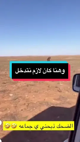 وهنا كان لازم نتدخل 😂#دكتور_أنيق #fyp #foryou #غازي_الذيابي #المقناص #السعودية #المقناص_الطير #مستر_خواجه #trending #الشمال #جده_الان 