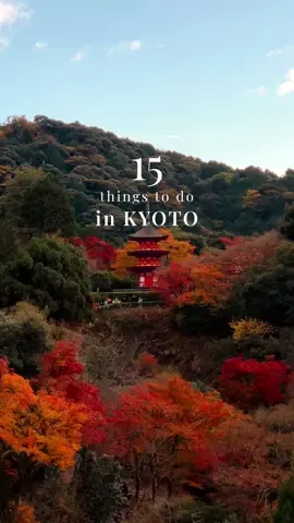 🇯🇵 Things to do in Kyoto Japan:  1. Kiyomizu-dera Temple: best time to visit is early in the morning before the crowds  2. Kazariya teahouse: 1000 year old business serving tea and sweet rice dumplings by a beautiful shrine 3. Otagi Nenbutsu-Ji Temple: temple of 1000 faces  4. Explore Higashiyama: explore at sunrise or in the evenings to escape the crowds in this historic suburb  5. Nara Park day trip: make your way up the top of Nara Park Wakakusayama Hill for incredible sunset view and friendly deer. 6. Kinkaku-ji Temple: one of a kind golden pavilion 7. Fushimi Inari Tori Gates: iconic Kyoto Tori gate walk, head further along the walk to get segments to yourself, don’t forget to try the street food in the way out, our favourite the custard filled Taiyaki.  8. Nishiki market: Kyotos market for incredible street food, don’t miss the strawberry mochi  9. Explore Arashiyama: beautiful riverside district stunning in autumn & cherry blossom seasons, packed with street food, temples & cafes. Grab a matcha latte from %Arabica Cafe and enjoy it by the riverside.  10. Arashiyama Kimono walk: a unique experience day or night showing traditional kimono designs right by the train station. 11. Rent a bike: enjoy a ride along the Kamo river, grab some snacks from Family Mart for a riverside picnic. We rented our bikes from The Good Day Velo . Kyoto is flat and so easy to get around by bike.  12. Daigo-ji Temple: one of our favourite temples to explore the incredible gardens, make sure to visit the immaculate Sambo-in Zen Garden 13. Hatoya Ryoyousha: enjoy a matcha latte or matcha pudding by the train tracks near Arashiyama for a unique suburban Kyoto experience   14. Breakfast picnic at Wife & Husband Cafe: grab a picnic set from this vintage themed cafe and walk to the riverside for a coffee in the morning sun  15. Visit a temple illumination: many temples in Kyoto are periodically lit up at night especially during autumn or cherry blossom season. #kyoto #japan #japantravel #visitjapan #japantrip #explorejapan #japantiktok #higashiyama #arashiyama #travel Best Things to do in Kyoto