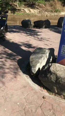 ต ร อ อินโด @#💙🚓🐾                                          #อมก๋อยหวานเจี๊ยบ😁🤍 