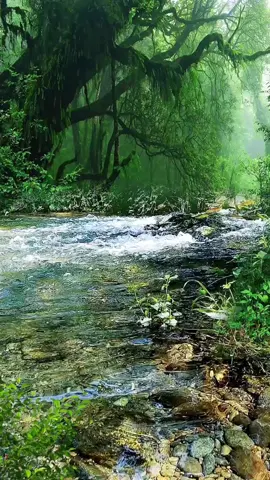 🟠🟢🟣🟢#scenery #fyg #TikTok #nature 