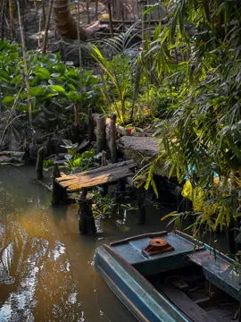 Cảnh Miền tây quê Mình thật yên bình 📸95 #HậuGiang#