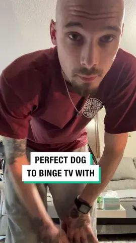 The way they snuggle 🥰🥺 (🎥: ViralHog) #dogsoftiktok #wholesome #funnyvids