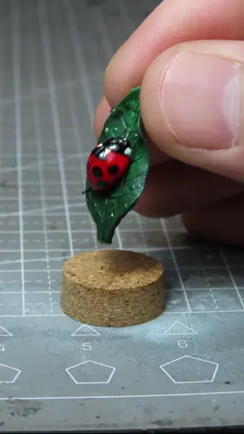 Tiny ladybug diorama 🐞 🍃 ...#diorama #dioramacreators #dioramamaker #miniature #mini #sculpting #ladybug #tiny #tinythings