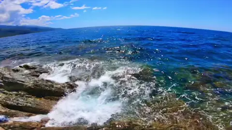 wowwwww #fishin #crazyfish #viral #fisherman #fyp #fishinglife #omg #fishcontent #bigfish #sea #comeonfishy #fishing #gofishing #fishvideos 