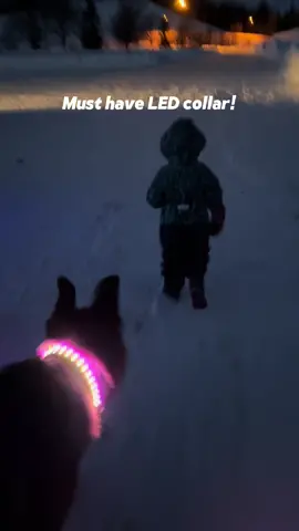 This is our favorite LED collar! It’s brightness and fun colors make night walks that much better! #leddogcollar #dogcollar #nightwalks #dogsafety #dogwalk #ledcollar #dogproducts #viraltiktok #viralpetproducts #foryou #CapCut 